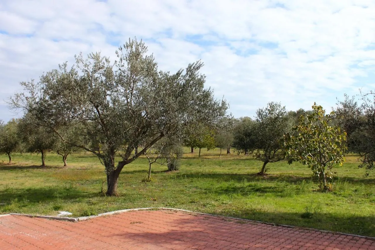 Apartments And Rooms With Parking Space Loborika, Pula - 12983 Marcana Guest house